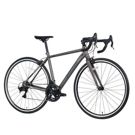 Xidesheng Road Bike RC160 Cycling Sports Adulto Adolescente Fitness Estudiante Transmisión de velocidad Fog de una sola niña gris/brillo 480 mm (165-175 cm)
