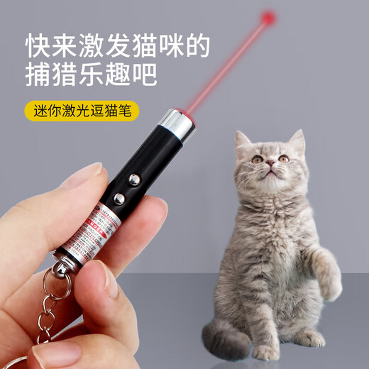 Cat toy self-stimulating laser cat wand, cat toy, cat pen, cat interactive toy, infrared pet supplies, cat laser pen - random style and color - 1 pc