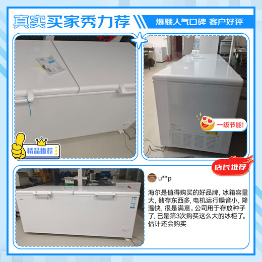 海尔国家补贴（Haier）冰柜300升左右以上大容量家用商用一级无霜全冷冻冷藏冰柜卧式冰箱 829升 |-38°C低温|电子控温|长2.1米