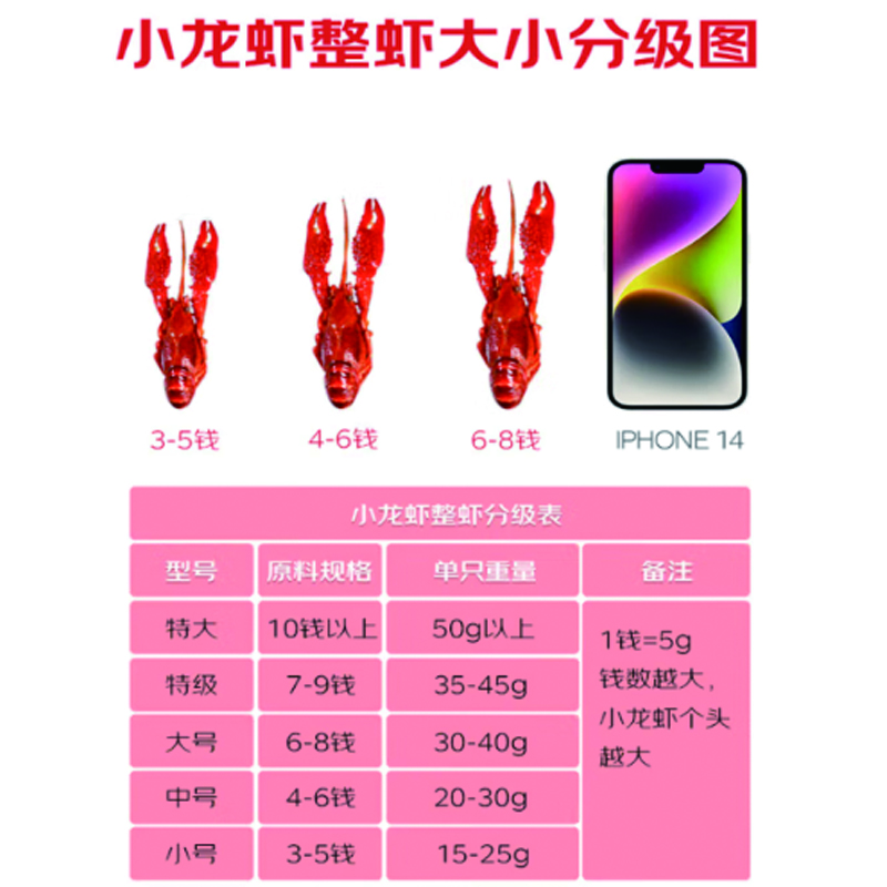 Fresh Jingcai Spicy Crayfish 618g (500g clean shrimp) Large size 6-8 yuan/piece 14-16 pieces Heat and eat