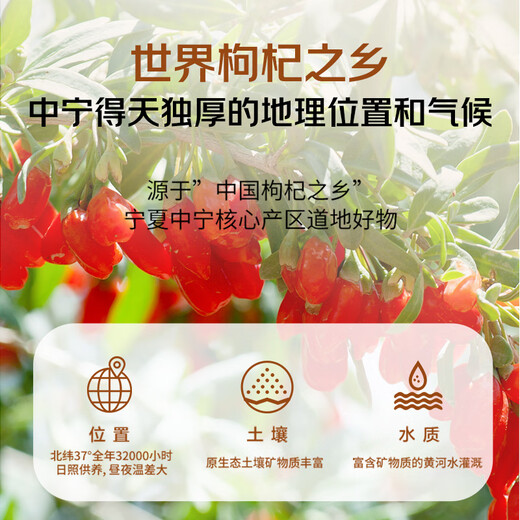 № 1 Участник магазин Red Wolfberry Special Grade Большой фрукты Первая стерна 220 Wolfberry 500G Новый продукт Ningxia Zhongn