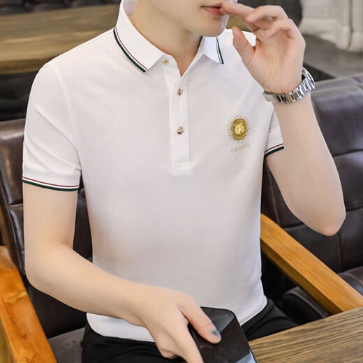 FJLT轻奢高档品牌polo衫男士T恤夏季新款时尚短袖翻领商务透气上衣 F6628（白色） L (建议115-130斤)