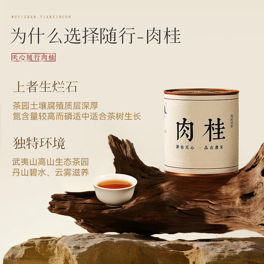 武夷山大红袍陈素全武夷山大红袍乌龙茶武夷岩茶半岩肉桂一级50g中火罐装