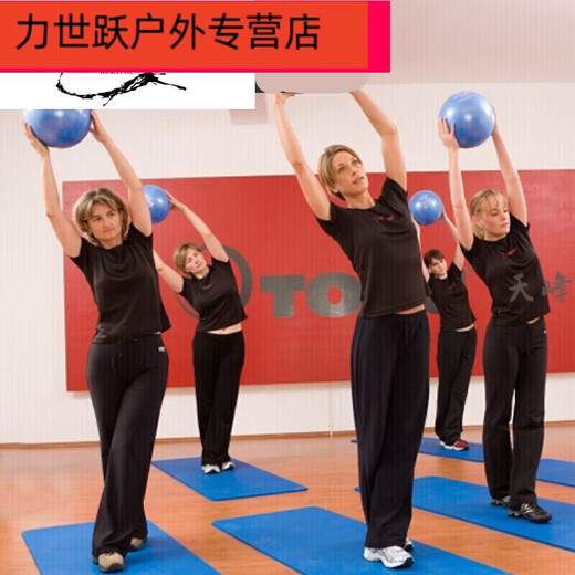 Shantou Lincun* Mini Yoga Ball Pilates Ball 15 20 25 30 40 Balance Fitness Gymnastics Ball 20 Green 15 Red Thickened + Blowing Tube