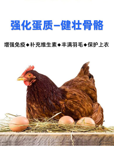 Wing Fantasy Super Concentrated Vitamin Powder Veterinary Multidimensional Chicken, Duck, Goose, Turtle, Pig, Cattle and Sheep Poultry Feed Premix Super Concentrated 500g*30 Bags (Full Box)