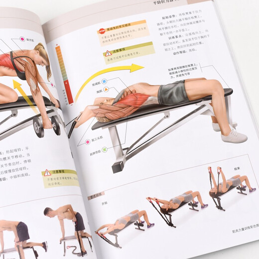 [] Mapa de color de entrenamiento de fuerza muscular producido por libros asíncronos