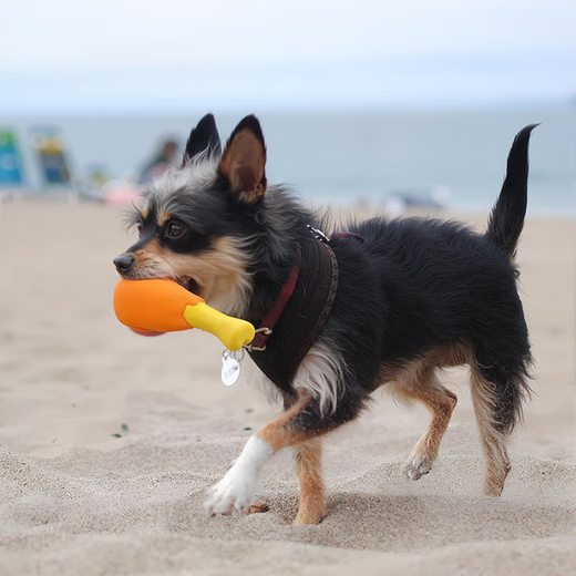Dog sounding toy pet chicken leg toy sounding small and medium-sized dog bone chicken leg dog molar toy bite-resistant sounding chicken leg 2 pieces No Specifications