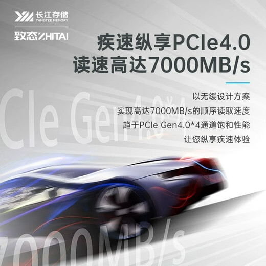 Zhidai Yangtze Storage Disque SSD SSD Interface NVMe M.2 Extension d'installation de bureau pour ordinateur portable TiPlus7100 Disque SSD SSD TiPlus7100 1 To