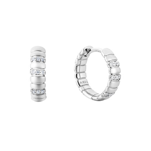 Arsis freely matches snake bone small earrings, women's fashionable simple earrings, versatile earrings as a gift for your girlfriend, snake bone small earrings - silver