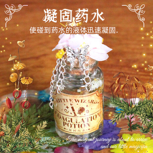 溥畔小小魔法师六一儿童节礼物药水科学实验神奇魔法壶实验瓶锅套装 魔法奇缘(初阶礼盒)送披风帽子
