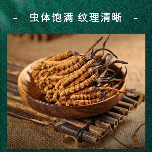 Cordyceps 50 coffre-cadeaux avec de grandes spécifications Cordyceps Hay Généralités de qualité Nourishing Gift 2025 New Cordyceps 50 Boîtes-cadeaux (Spécifications 3 bâtons par gramme)