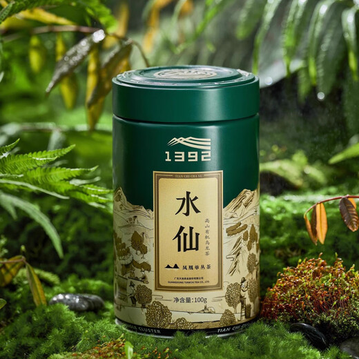Tianchi 1392 Buntes Narzisse Tee Phoenix Dantong Tee High Mountain Bio Oolong Tee Dosen 100g Duft Typ 100g Dosen