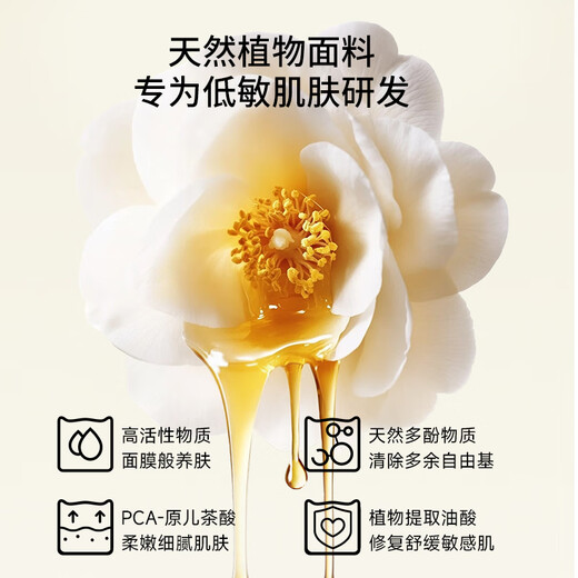猫人（MiiOW）粉底液内衣女夏季薄款女士无钢圈文胸女隐形内衣小胸聚拢显大胸罩