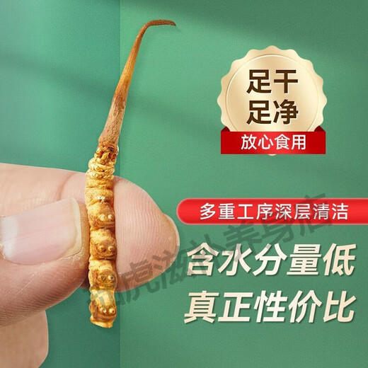 Beijing Tongrentang Quality Tibet Direct Faquenna Cordyceps High-altitude Cordyceps Cordyceps dry goods gift gift 100g gift box 10g canned