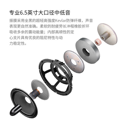 HiVi RM800HT+Sub12S DSP PLUS+Dianlong