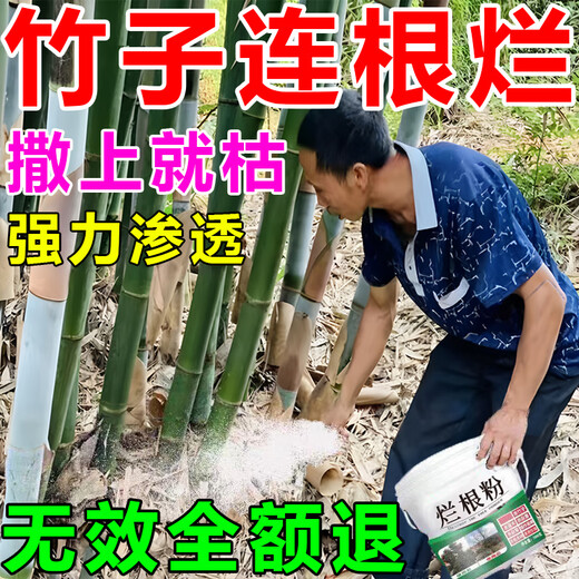 Bamboo-killing medicine for killing bamboo root and root rot. Powerful to kill bamboo king. Bamboo-killing medicine. Bamboo root and root rot powder. Three barrels. Buy two and get one free. Easy-to-use medicine for killing bamboo root.