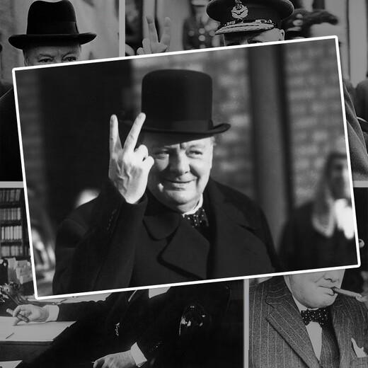 Sweet Churchill Poster Wall Stickers Large Size Room Self-adhesive Bedroom Background Wall Stickers can be customized T15909 Churchill 30*45cm (default hairband glue or not to leave a message)