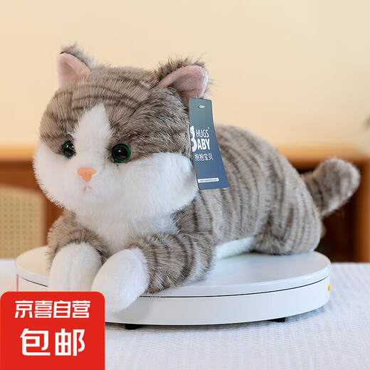 Gatito Plush Toy Cute Cat Cat Simulación de Cat Doll Sleep Augs Comfort Doll Enviar regalo de cumpleaños Cat 45 cm