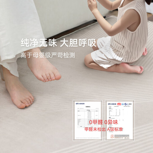 像素地毯客厅2025新款轻奢感沙发地垫免洗可擦家用防水卧室厚天津 清蔷-13566 200cm*340cm [柔软好打理]