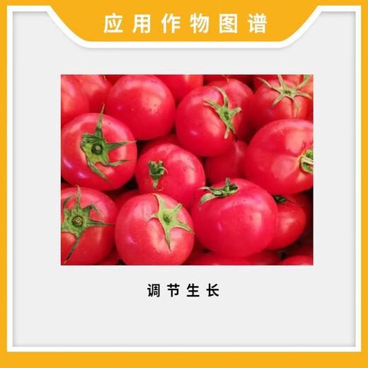 Baotianpai 1.8% sodium nitrophenolate tomato tomato growth regulator to break dormancy plant growth regulator 100g