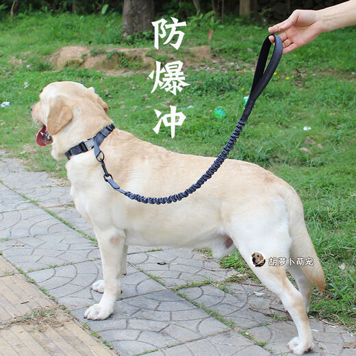 Impulsion à l'épreuve à l'épreuve de la main de la main Labrador Golden Retriever Medium et grande chaîne de chiens Boucle en acier à col doux Attache de nuit verte fluorescent Réflexion de nuit 1585jin [Jin est égal à 0,5 kg] circonférence érectile 3057 cm