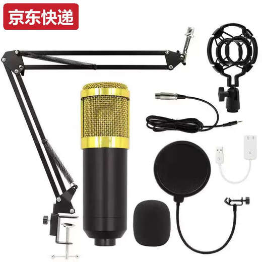 Lan Cai and cross-border BM800 condenser microphone V8 mobile phone English sound card computer usb cantilever bracket live broadcast set full plastic silver set + white USB