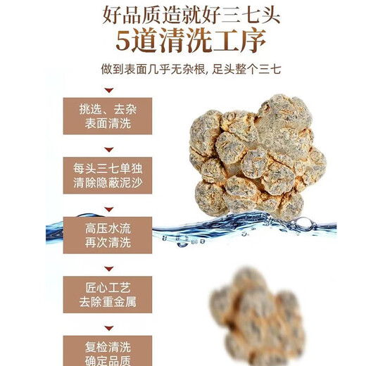 Chen Dingqi Panax Notoginseng Yunnan Wenshan Chun Panax Notoginseng Chinesische Kräutermedizin 20 Köpfe 10 Köpfe ohne Schnitte Tian 7 37 Köpfe [ausgewählt 20 Köpfe 10-250 Gramm neue Waren für die Saison]