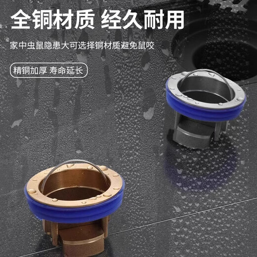 Floor drain, all-copper anti-bedbug bathroom sewer pipe, bathroom drainage universal cover, inner core anti-odor copper flap, all-copper natural color gravity direct drainage anti-odor-universal installation 1