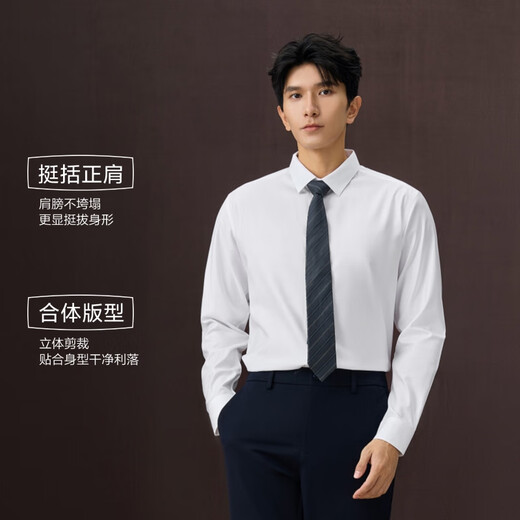 HLA Heilan House collared executive shirt L7 soft stretch version autumn 25DP no-iron shirt for men