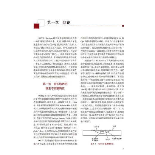 [Ventas calientes auto-operadas recomendadas] Tecnología de tejido y cultivo celular, cuarta edición, 4ª edición, serie de guías para mejorar las capacidades centrales de los investigadores científicos graduados, 13º Libros de texto del plan de cinco años, People 16859