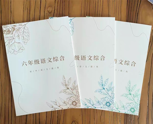 沪教版上海华育语文综合课默写文言文现代文名著阅读文学常识678年级 配华育在职老师视频课 24七年级寒假+视频课