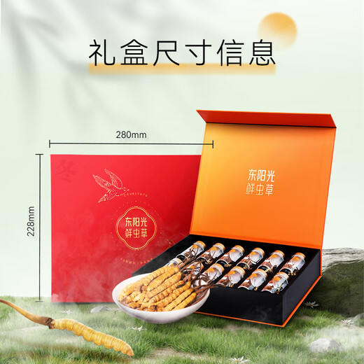 东阳光冬虫夏草3-4根/g60根滋补礼盒冬虫草营养品补品送长辈老人