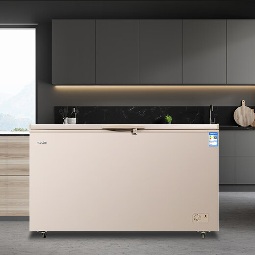 白雪 BAIUE商用冰柜大容量冷柜冷冻冷藏一体空间341/519/778/830/1050L BD/C520FD1614x720x945金色1级