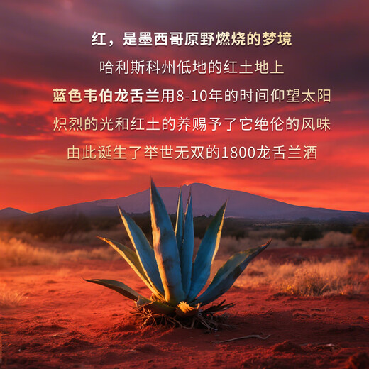 1800典藏金标银标水晶陈年龙舌兰酒 墨西哥进口高端洋酒 纯龙舌兰酒 观奇蒙顿 750mL 1瓶 单瓶装
