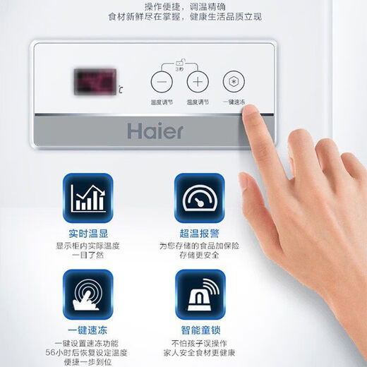 海尔（Haier）冰柜519/629/719/829HEZ商用大容量节能冷藏冷冻家用速冻冷柜 BC/BD-629HEZ 电子控温