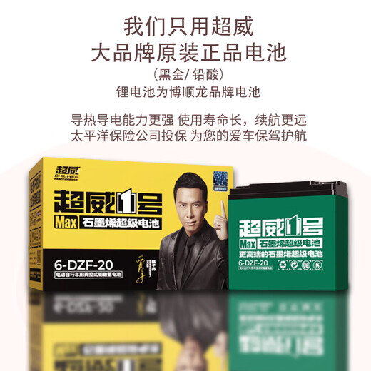 Phoenix Beetle Electric Tricycle Home Small Elderly Walking Electric Vehicle Electric Three-Wheeled Elderly Leisure Battery Vehicle 600W丨48V12A Lead Acid + Battery Life About 25 Kilometers