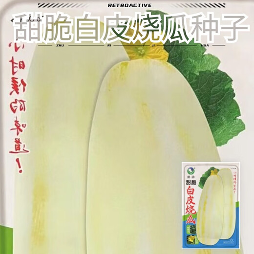 Sweet and crispy white-skinned roasted melon seeds, melon seeds, old-fashioned roasted melons, old-fashioned tipped melons, Shandong large white melon seeds, sweet and crispy white-skinned roasted melon seeds, the peel is yellow and white, original 1 pack, about 80 capsules + fertilizer