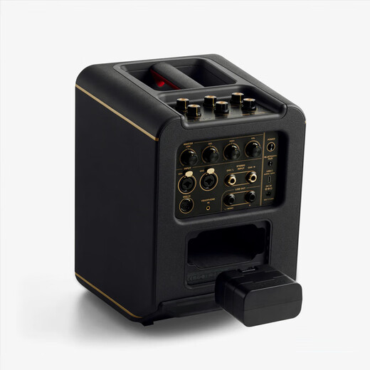 Positive Grid Spark Edge smart electric guitar speaker with effector outdoor rechargeable acoustic guitar playing and singing bass speaker Spark EDGE black 65 watt + rechargeable battery