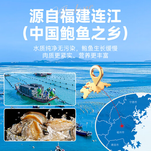 Linglue fresh frozen large abalone, net weight 800g, 16 pieces box, abalone hot pot barbecue, shellfish and seafood, fresh