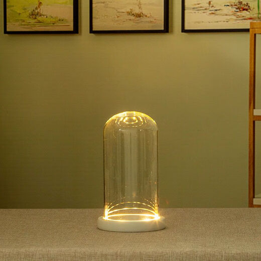 Blind box display box eternal flower glass cover display box diy hand-made decorative desktop ornaments dried flowers transparent dustproof 8*10+ log flat bottom trough light