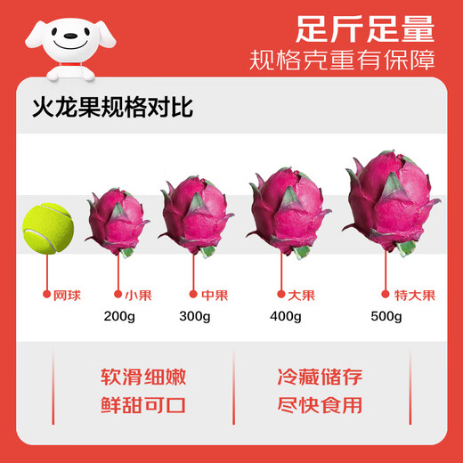 Jingxiansheng Red Heart Pitaya Big Mac 6 pieces, single fruit 500g, net weight 6Jin Jin is equal to 0.5kg, gift box, fresh fruit