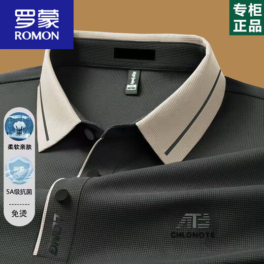 罗蒙（ROMON）男士长袖t恤2025春秋薄款中年爸爸翻领POLO打底衫秋装上衣 16823浅绿 M 165建议-120斤