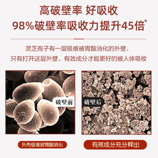 哈药破壁灵芝孢子粉胶囊 增强免疫力成人中老年送长辈营养品 1瓶装【效期到26年2月】