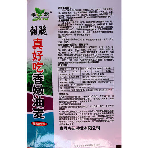 Shanghai green seeds for all seasons, small green vegetables, chicken feathers, fast vegetables, small cabbage, rapeseed, heat-resistant, wet-resistant and cold-resistant, for field use, original fragrance lettuce seeds, about 1500 capsules, 1 pack