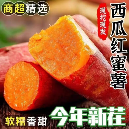 Freshly dug sandy land watermelon, red sweet potato, fresh farm sweet potato, roasted sweet potato, potato soft and waxy wholesale, watermelon red sweet potato 1Jin Jin is equal to 0.5kg, small and medium-sized fruit