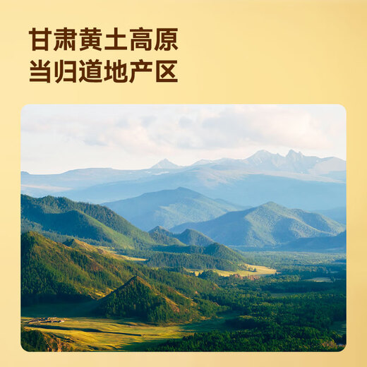 
JD.com made in JD.com with angelica + Codonopsis + Astragalus combined with Gansu water-soaked health tea and soup to replenish qi