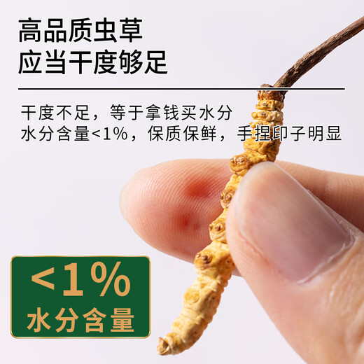 煌家优品冬虫夏草3-4根/g1克装一级断草干草高海拔饱满高品质礼物送长辈