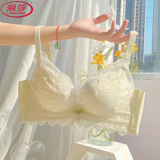 浪莎（LangSha）甜美蕾丝性感美背女内衣小胸加厚聚拢上托侧收副乳无钢圈文胸套装 粉色 单件 80A 36 B通杯