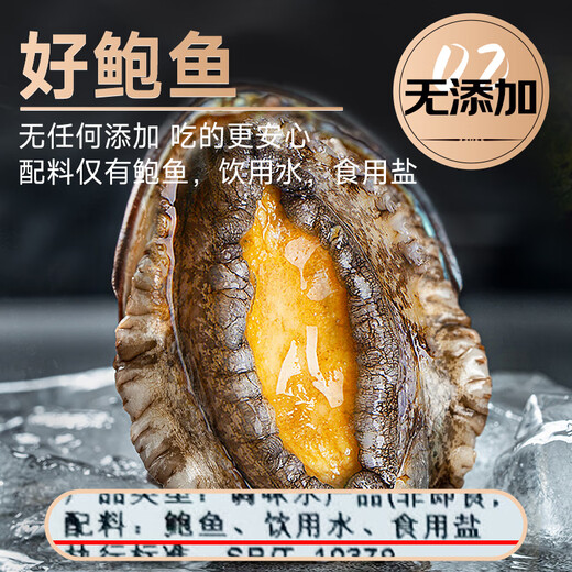 Linglue fresh frozen large abalone, net weight 800g, 16 pieces box, abalone hot pot barbecue, shellfish and seafood, fresh