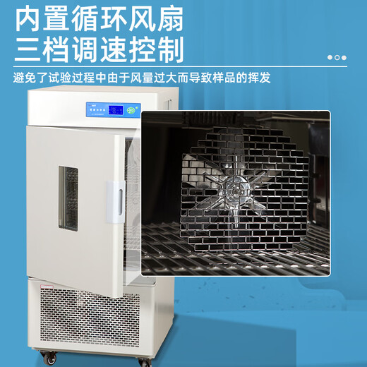 Shanghai Biochemical Incubator Bacterial Mold Test Kit Artificial Climate Light Constant Temperature Constant Humidity Test Kit Electric Thermal Constant Temperature Incubator DHP-9272
